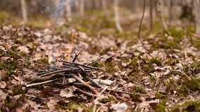 A small bonfire flares up in the forest in a wet swampy area