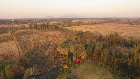 Drone shot of Xochimilco fields and chinampas at dusk, Aztec culture legacy 