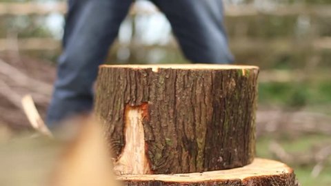 Lumberjack chopping wood.