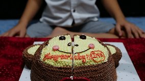 Kid is happily cutting cake in his birthday party - happy joyful birthday party celebration concept 