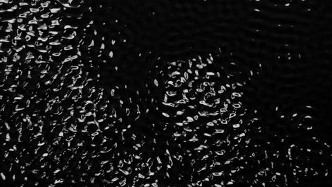 Art of creating textures using water and acoustic frequencies of sound. Black background. Slow motion