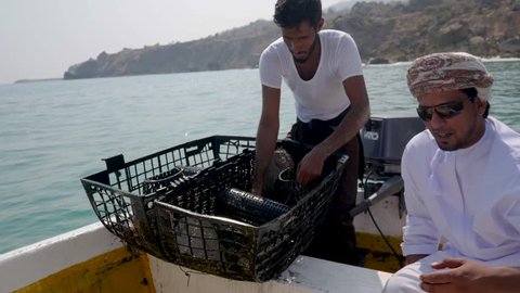Salalah, NA / Oman - 04 10 2018: Salalah, Oman April 2018: Local fisherman empties a lobster trap at the delight of the tourists