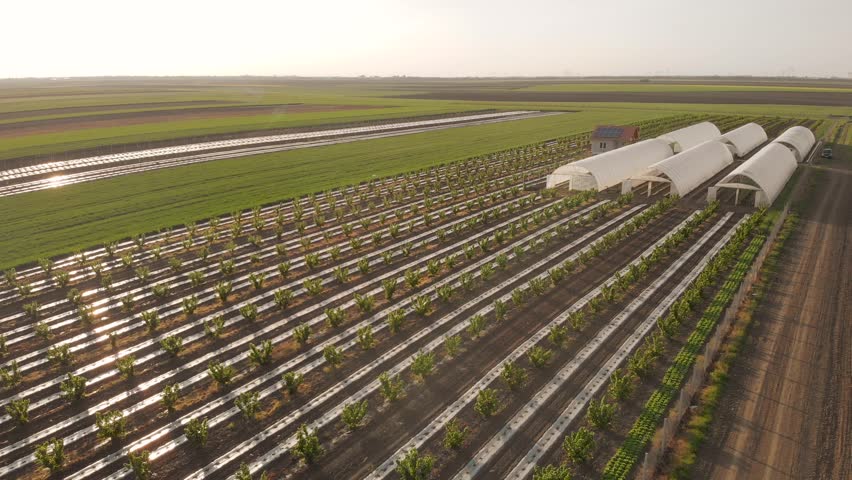 Aerial footage of agricultural estate with greenhouses. 4K stock footage. Spring sunset. | Shutterstock HD Video #1010555150