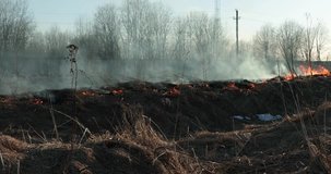 dry grass burns in the daytime