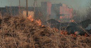 dry grass burns in the daytime