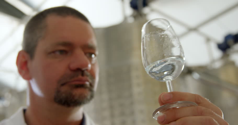 Mature male worker examining liquor in factory 4k