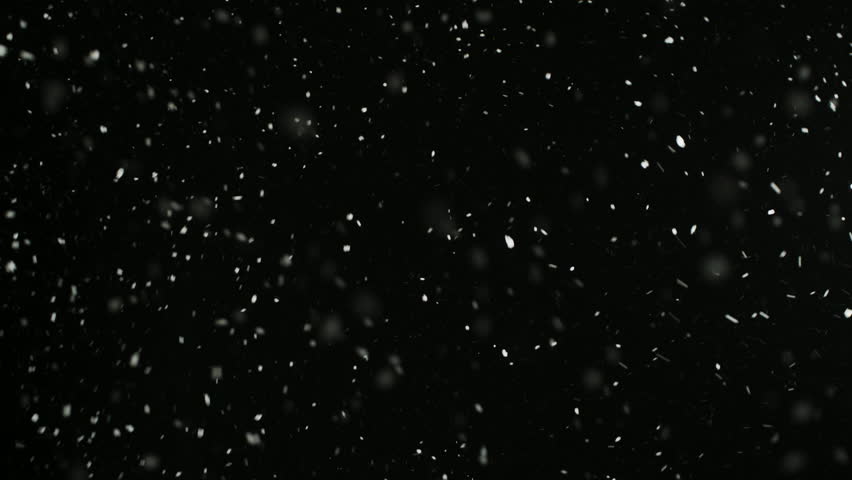 Stormy Weather, Snow Falling, Small Snowflakes Isolated on Black Background. Overlay Modes. Shot on RED EPIC-W 8K Helium Cinema Camera. | Shutterstock HD Video #1010600585