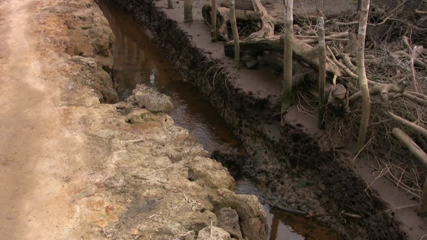 Land Improvement in Africa