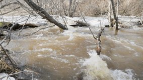Thaw and river movement through fallen branches of trees. Slow motion video