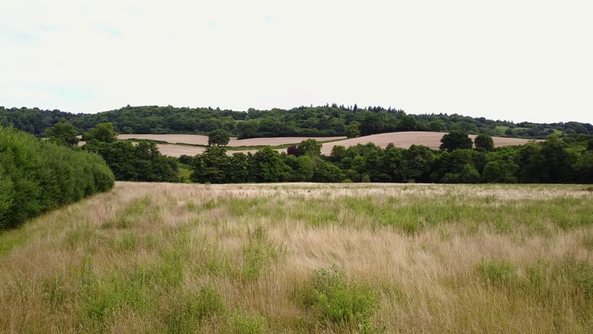Drone flying over woodland and grassland