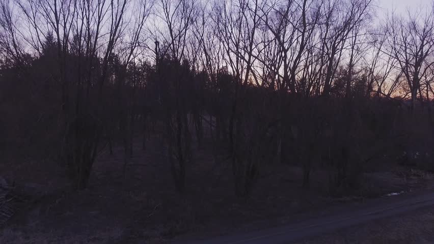 Ascending aerial shot of a forest at sunset.