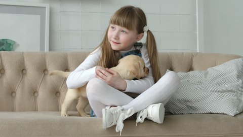 Little girl holds a labrador puppy