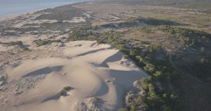 High-key aerial drone video orbiting right showing length of Turkey's longest beach and Mediterranean Sea from behind sand dune mountain in Patara, Turkey. 4k at 23.97fps