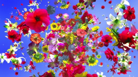 Exploding colorful flowers in 4K