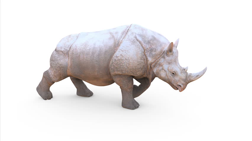 rhino 3 month trial