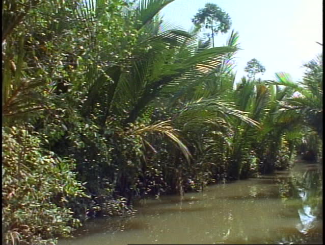 VIETNAM, 1999, Vietnam jungle, small river, canoe, POV, palms overhang