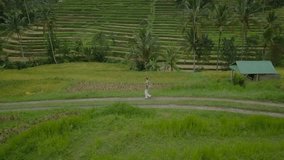 Drone point of view aerial view of young woman wandering in rice terraces, Bali, Indonesia. Hiking travel people concept