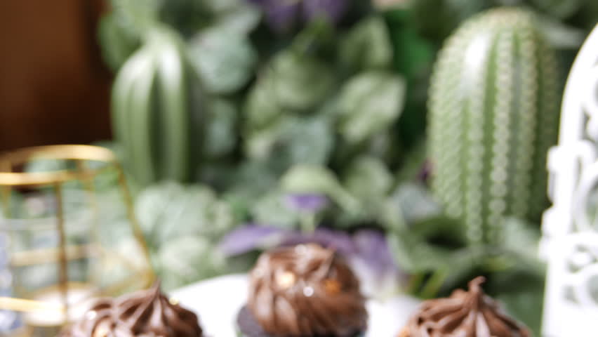 Delicious homemade Chocolate muffin cupcake set on white plate.