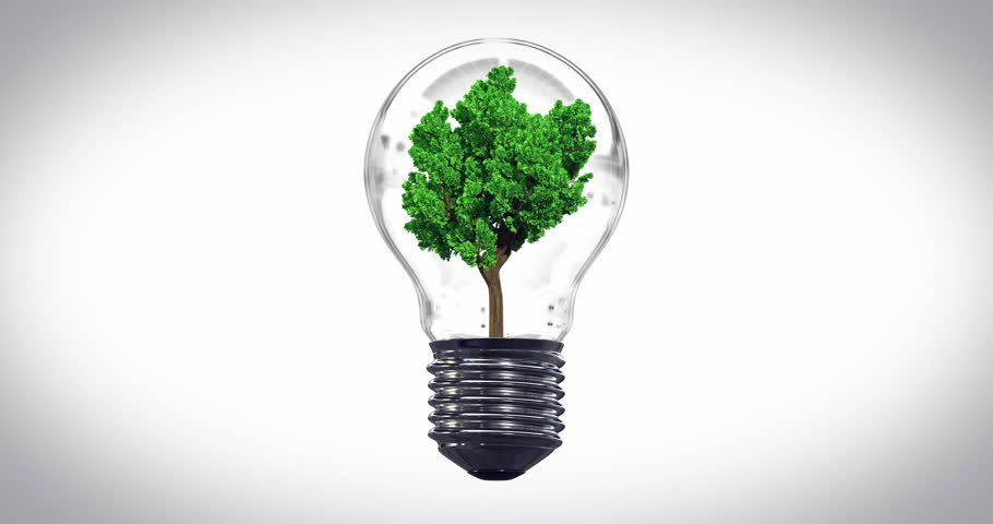 Tree in the lightbulb, looping animation