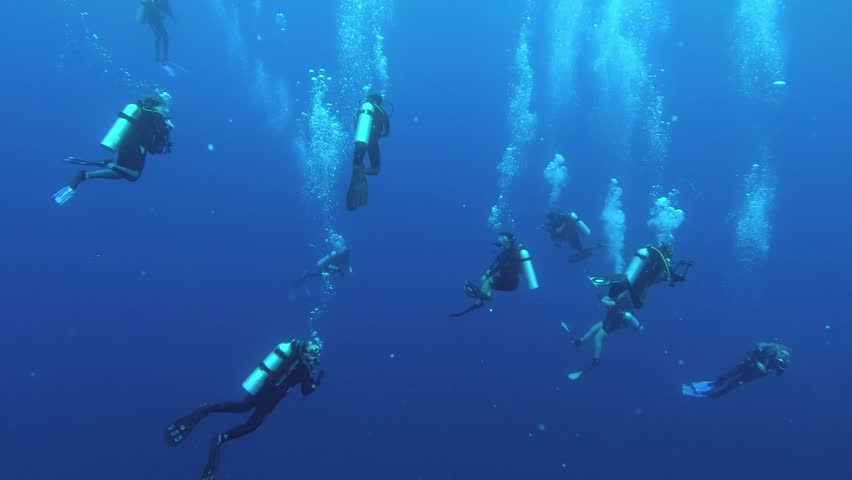 INDIAN OCEAN, MALDIVES, ASIA - MARCH 2018: A large group of scuba divers fall to the depth in blue water, Indian Ocean, Fuvahmulah island, Maldives | Shutterstock HD Video #1010772602