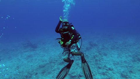 One Scuba Diver Underwater Back View Stock Vector (royalty Free 