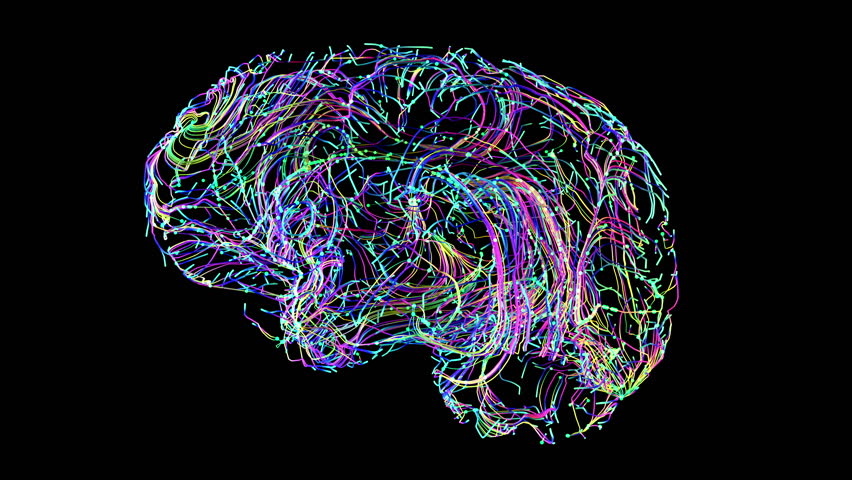 Brain connections colorful