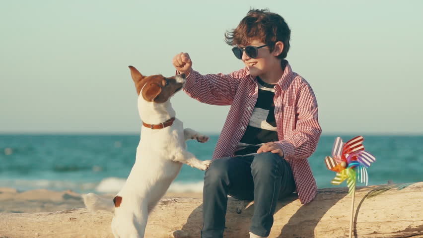 child-sitting-on-the-beach-with-dog image - Free stock photo - Public ...