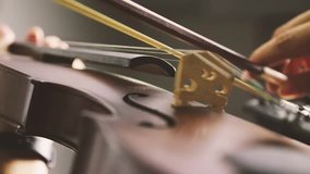 Close up musician playing violin by bowing on strings, footage, video 60 fps.
