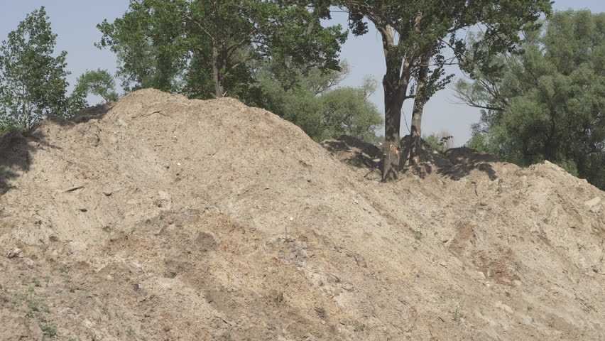 Large mounds of dry land near green trees on a construction site