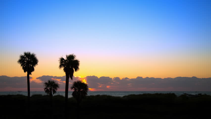 Tropical Florida Seascape Sunrise Timelapse over the Atlantic Ocean with Sun Rays Moving Through Clouds and a Palm Tree Foliage Foreground at Day Break