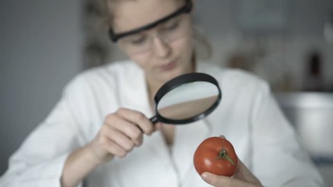 Teen girl looking, examine tomato leaf through magnifying glass in lab
