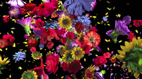 Colorful big flowers background in 4K