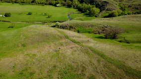Aerial video of man walking in picturesque valley on green grass towards a river. Drone tracking shot of backpacker hiking in the mountains and hills. Hiker goes to the river.
