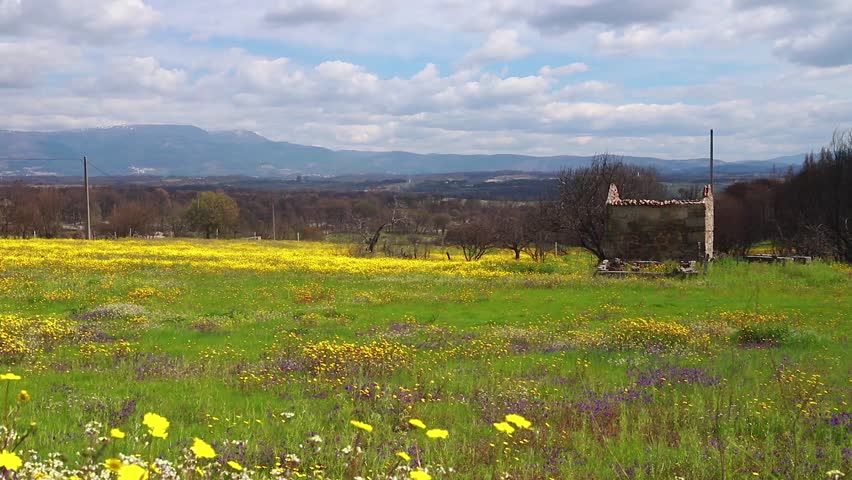 view on field and old building