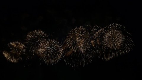 On a firework display holiday in the night sky.