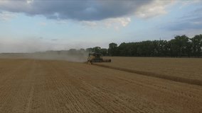 Farmer harvesting golden wheat field with tractor on beautiful sunny day in summer. Combine working on agricultural field in early autumn. D-Cinelike raw video footage in Full HD video (1920x1080)