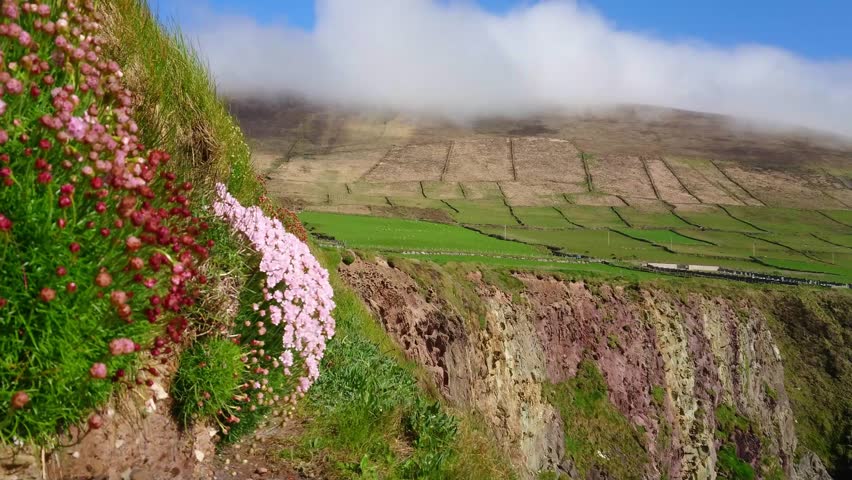 Amazing cliffs at Dingle Peninsula - wonderful landscape
