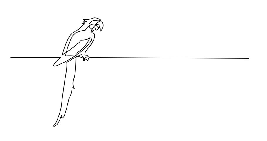 Self Drawing Animation Of Continuous Stock Footage Video 100 Royalty Free 1010881889 Shutterstock