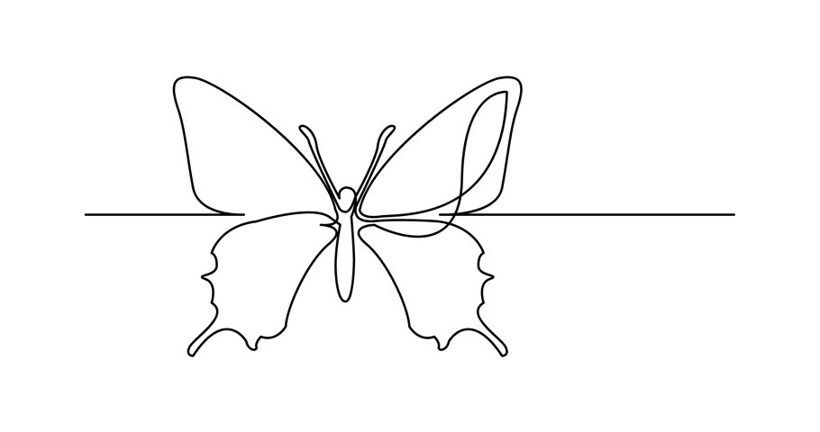 Self drawing animation of continuous line drawing of isolated vector object - butterfly