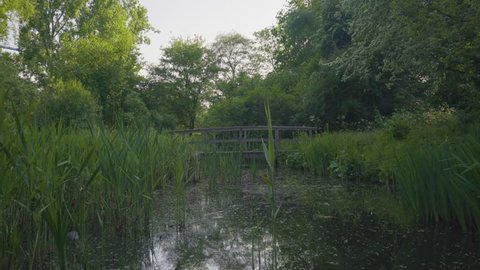 Peaceful Beautiful Pond in Park with bridge in background. Summer days - 4K