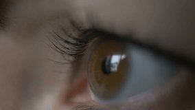 eye of a woman side view, reflection of a window, brown eyes, macro shoot - Powered by Shutterstock - Get 15% off with code: PIKWIZARD15