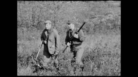 1950s: Hunters talk and point. Dog points at bush. Pheasant flies from bush. Hunter fires and bird drops to ground. Man reloads shotgun. Dog carries pheasant in mouth.