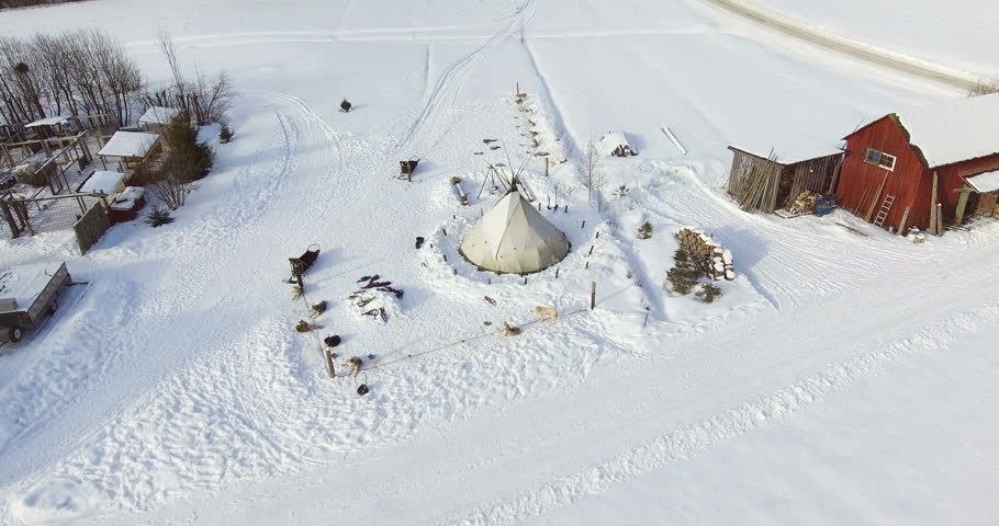 Husky sled dogs in winter landscape