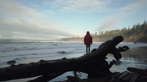 Woman balancing on a wooden tree enjoying the beautiful seascape. Taken near Tofino and Ucluelet in Vancouver Island, British Columbia, Canada.