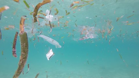 Underwater footage of plastic pollution problem in ocean. Plastic bottles, bags and straws, and tin cans are dumped in sea Video Stok