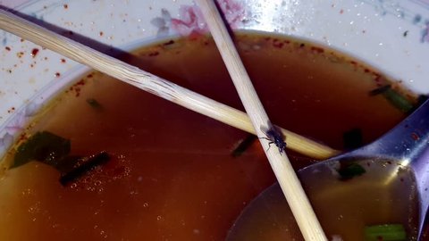 Flies eat food scraps in noodle cups.