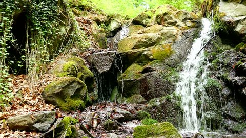 Bottom view of small waterfall on a forest stream with the sound of water and the surrounding forest - loopable