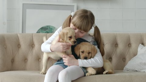 cute girl hugging with labrador puppies