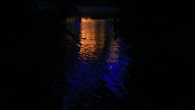Nighttime video clip of water ripples in a small river making the reflection of a building shimmer.  Silhouettes of branches sway lightly in the wind in front of the reflection.