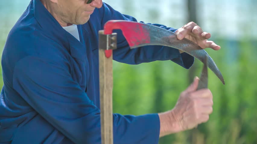 An old farmer is sharpening the scythe to continue cutting the grass. It